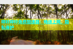 哔咔哔咔免费加速器：畅速上网，隐私保护