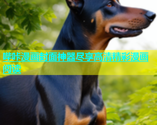哔咔漫画封面神器尽享高清精彩漫画阅读